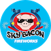 Moon Travelers with Report - Sky Bacon